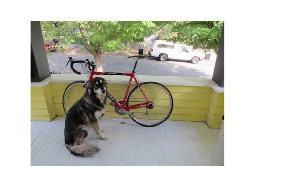 screen shot 2020 12 18 at 2.46.23 pm