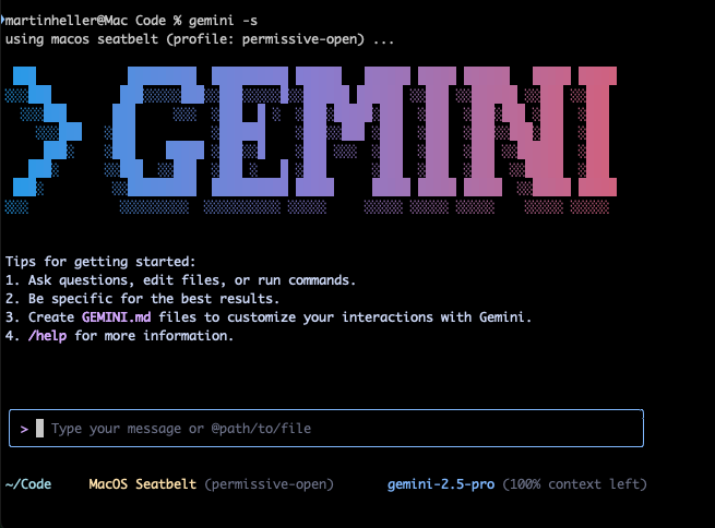 Gemini CLI 01